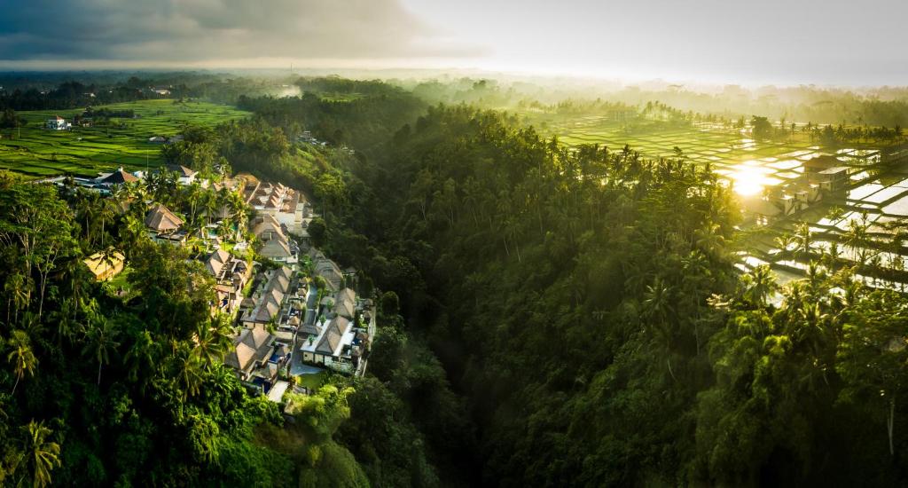 هتل Viceroy ubud