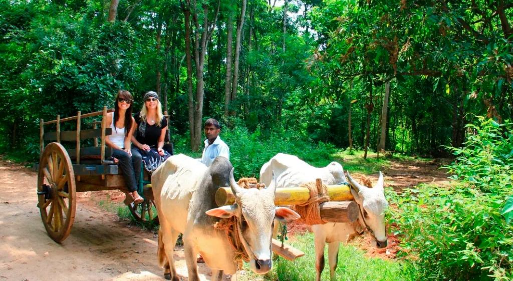 بازدید از قلعه سنگی سیگیریا (Sigiriya)