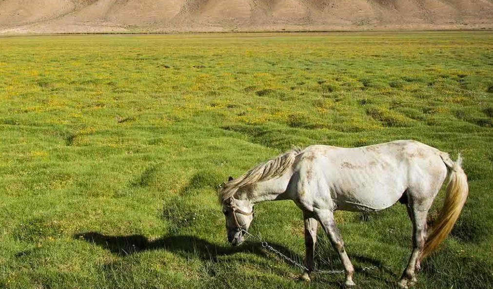 مرغاب – مرتفع‌ترین شهر آسیای مرکزی