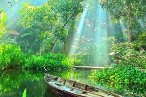 تور کوالالامپور 4 شب +3 شب پنانگ 12 خرداد